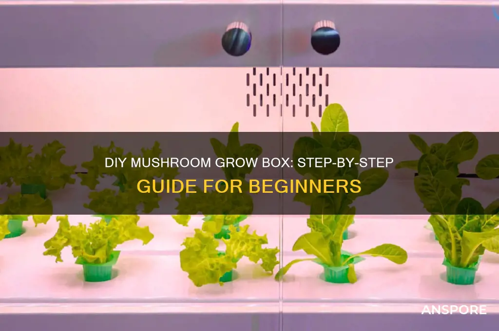 how to build a grow box for mushrooms