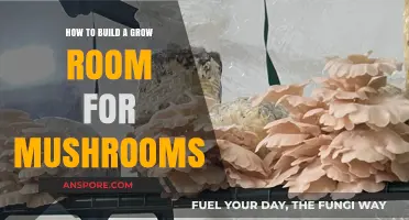 Creating the Perfect Mushroom Grow Room: A Step-by-Step Guide