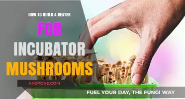 Building an Incubator Heater for Mushroom Growth