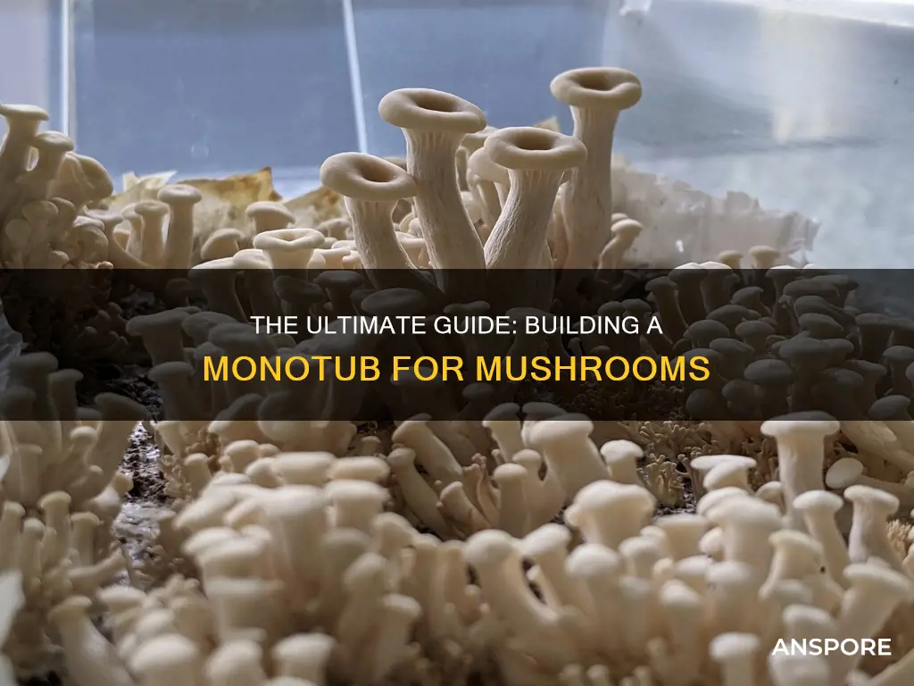 how to build a monotub for mushrooms
