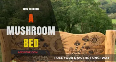 Creating a Mushroom Bed: A Step-by-Step Guide
