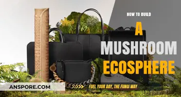 Creating a Mushroom Ecosphere: Step-by-Step Guide