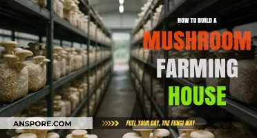 Grow Your Own Mushrooms: Build a Mushroom Farming House