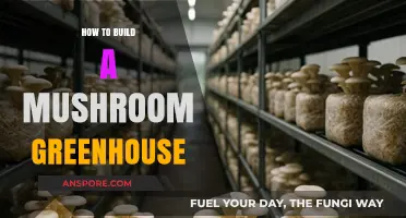 Mushroom Greenhouse: DIY Guide to Success