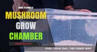 DIY Mushroom Grow Chamber: Step-by-Step Guide for Beginners