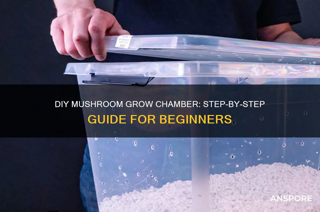 how to build a mushroom grow chamber