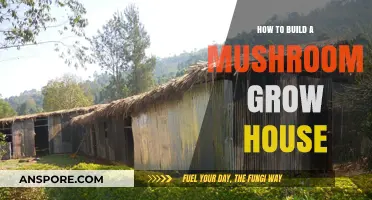 Building Your Own Mushroom Grow House: A Step-by-Step Guide