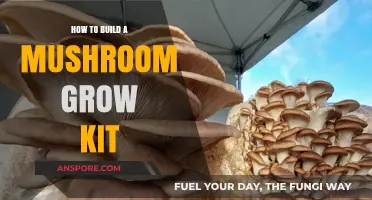 DIY Mushroom Farming: Craft Your Own Grow Kit at Home