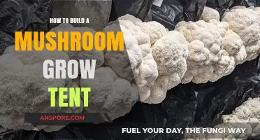 DIY Mushroom Grow Tent Setup: A Step-by-Step Guide