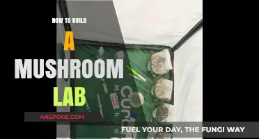 Creating a Mushroom Lab: A Step-by-Step Guide