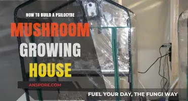 Building a Psilocybe Mushroom Growing House: A Step-by-Step Guide