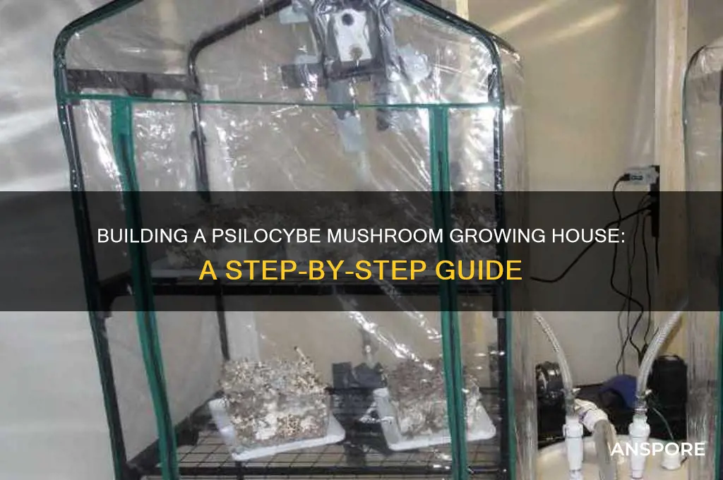 how to build a psilocybe mushroom growing house