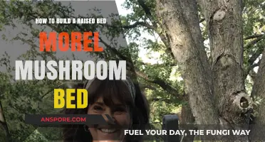 Create a Raised Bed Morel Mushroom Garden: Step-by-Step Guide