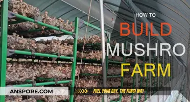 Grow Your Own Mushrooms: Build a Farm at Home