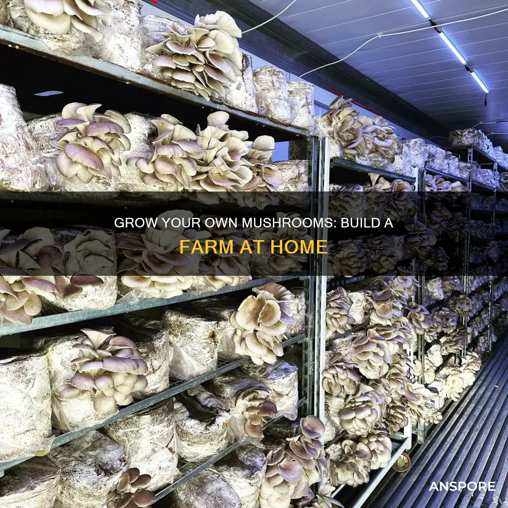 how to build mushroom farm