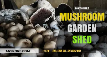 Creating a Mushroom Shed: A Step-by-Step Guide