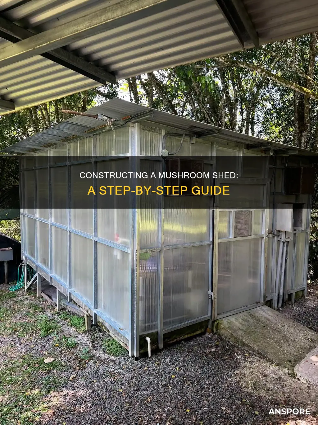 how to build mushroom shed