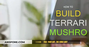 Creating a Mushroom Terrarium: A Step-by-Step Guide