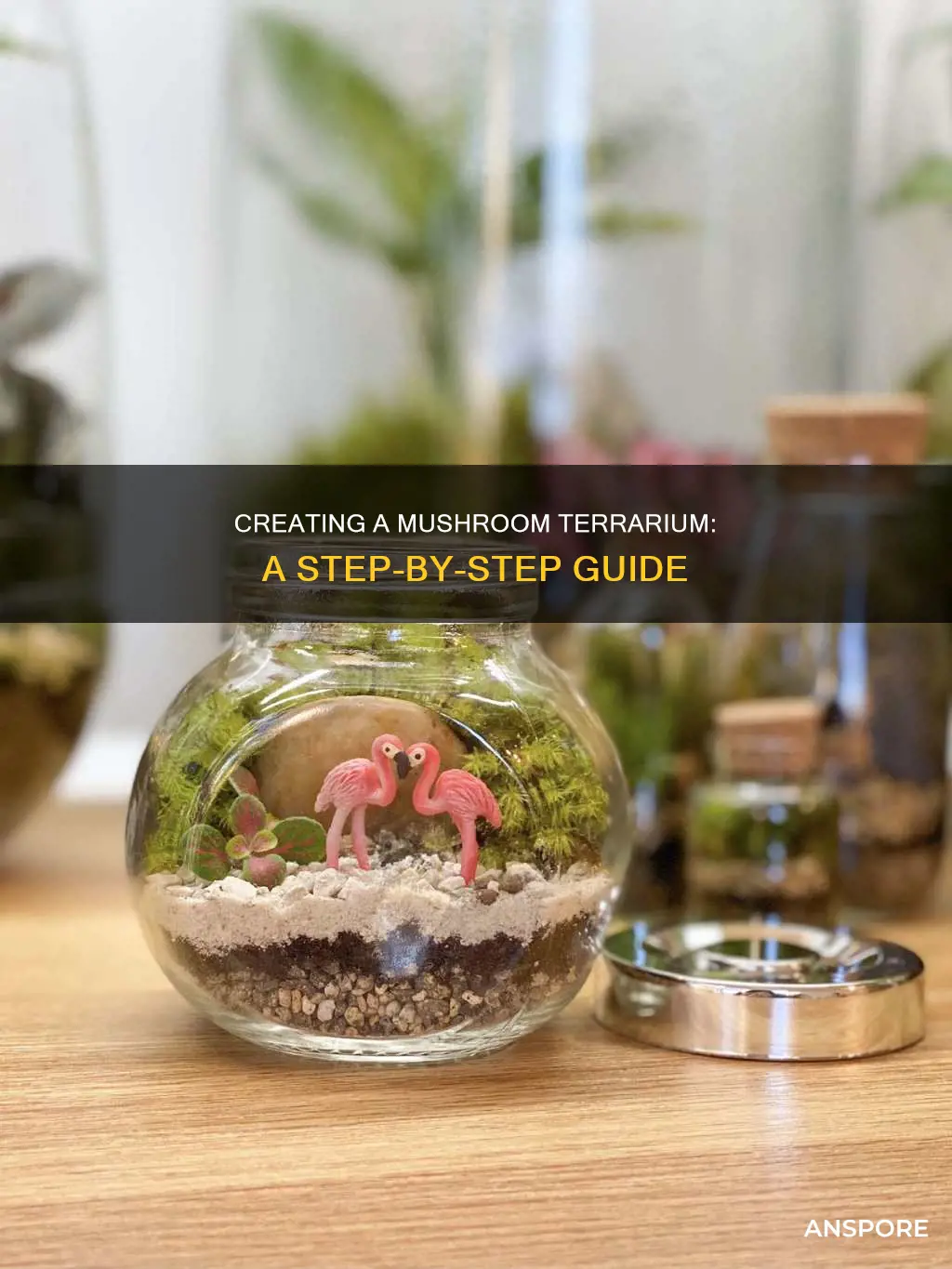 how to build terrarium mushrooms
