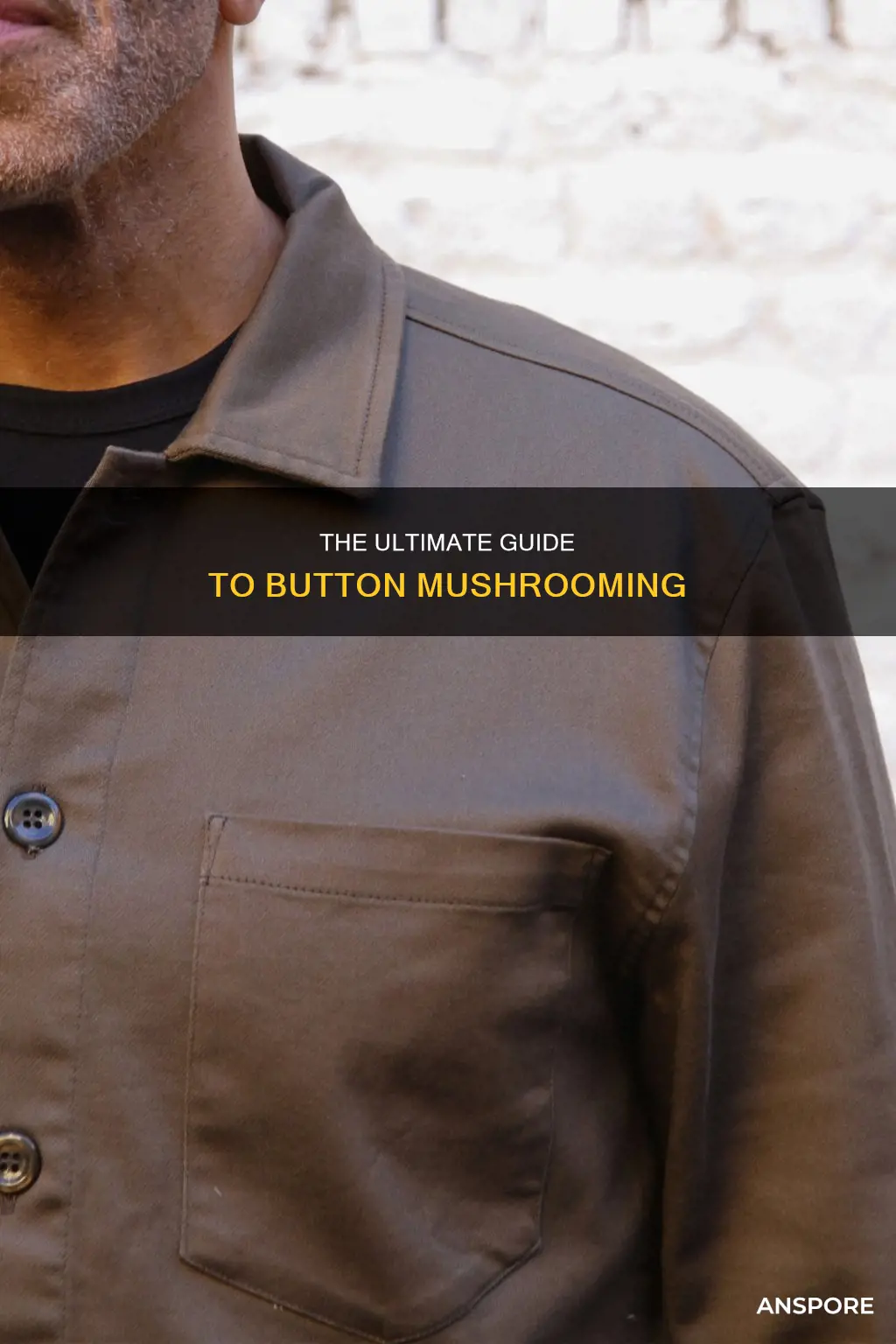 how to button mushroom