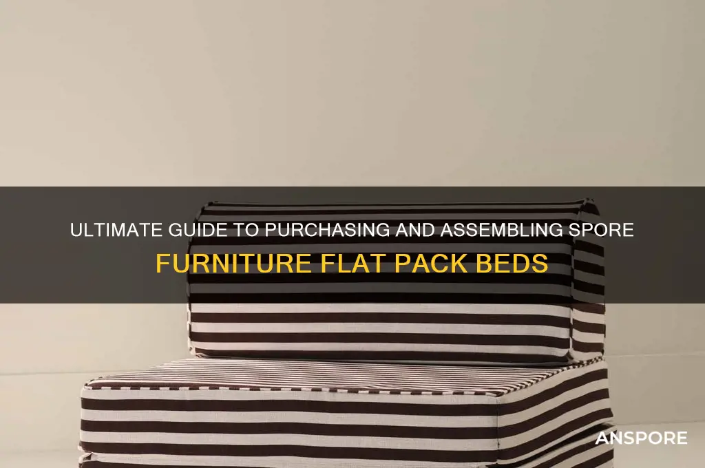 how to buy a spore furniture flat pack bed