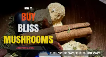 A Beginner's Guide to Safely Purchasing Bliss Mushrooms Online