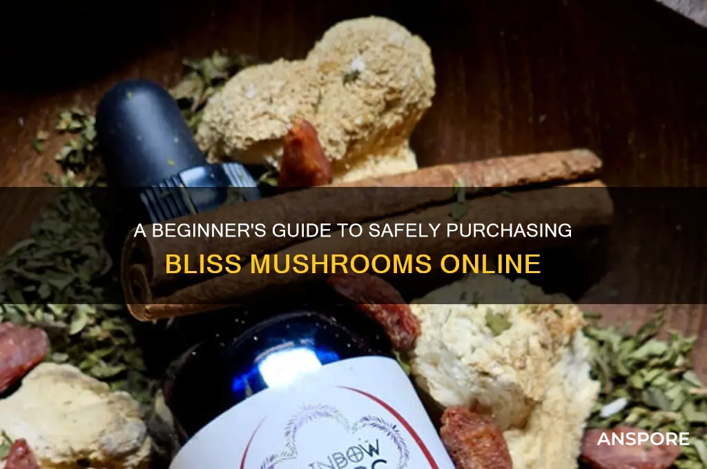how to buy bliss mushrooms