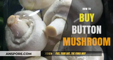 A Beginner's Guide to Buying Fresh Button Mushrooms Easily