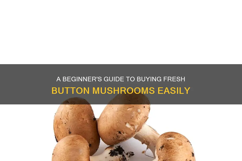how to buy button mushrooms