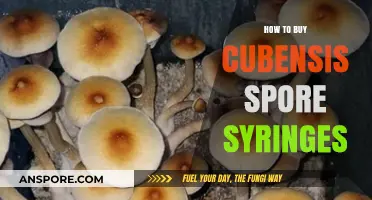 A Beginner's Guide to Purchasing Cubensis Spore Syringes Safely