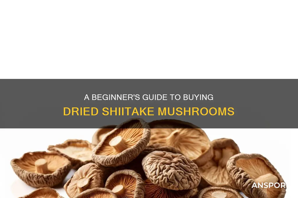 how to buy dried shiitake mushrooms