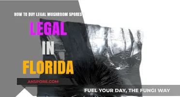 Buying Legal Mushroom Spores in Florida: A Comprehensive Guide