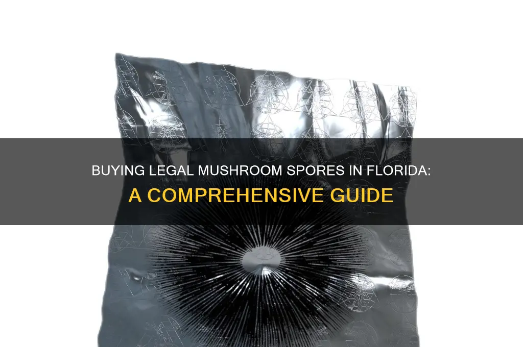 how to buy legal mushroom spores legal in florida