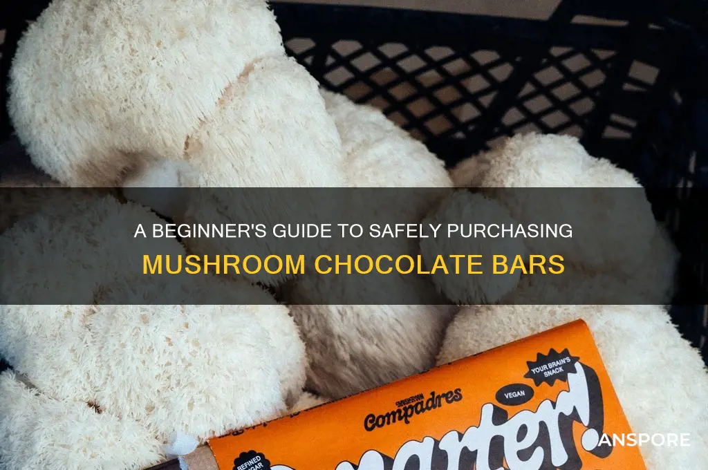 how to buy mushroom chocolate bars