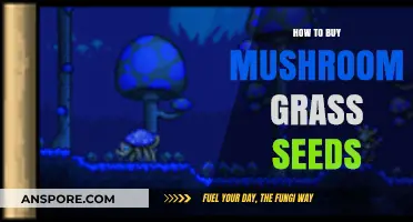 Buying Mushroom Grass Seeds: A Step-by-Step Guide for Gardeners