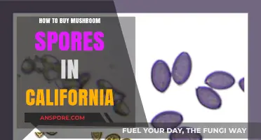Buying Mushroom Spores in California: A Legal and Practical Guide