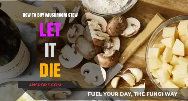 Mastering Mushroom Stew Purchases in Let It Die: A Comprehensive Guide