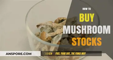 Investing in Mushroom Stocks: A Beginner's Guide to Fungal Market Growth