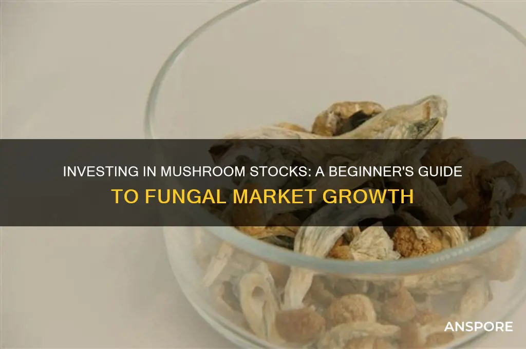 how to buy mushroom stocks