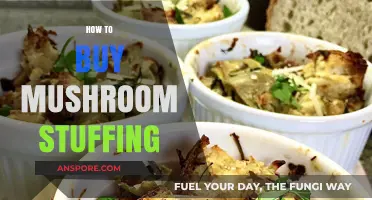 A Beginner's Guide to Choosing and Buying Mushroom Stuffing