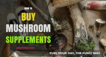 Ultimate Guide to Choosing and Buying Quality Mushroom Supplements