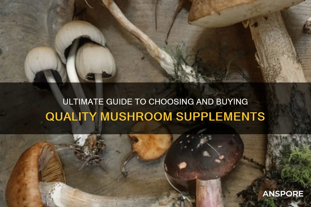how to buy mushroom supplements