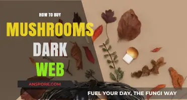 Safely Navigating the Dark Web for Mushroom Purchases: A Comprehensive Guide