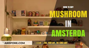 Buying Mushrooms in Amsterdam: A Beginner's Guide to Smart Shopping