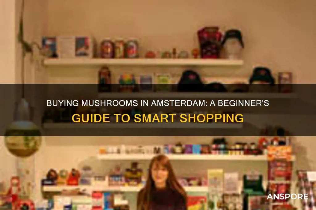 how to buy mushrooms in amsterdam
