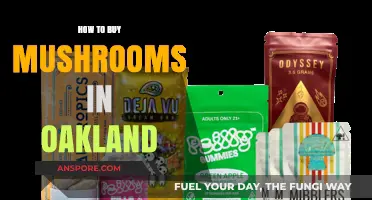 Oakland's Mushroom Market: A Beginner's Guide to Buying Fungi