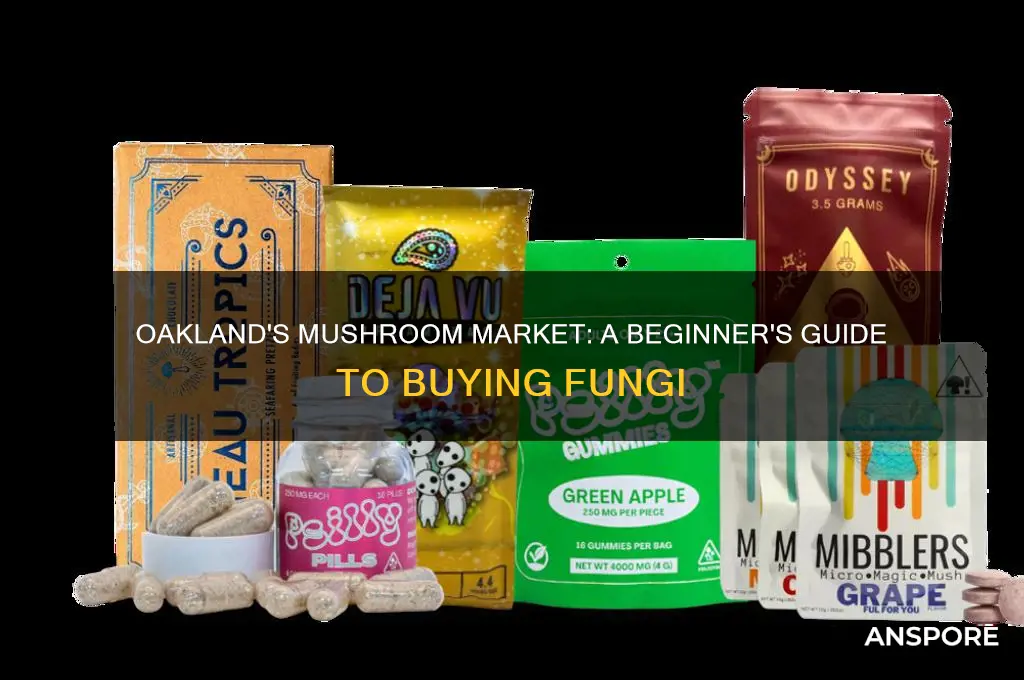 how to buy mushrooms in oakland