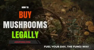 Legal Mushroom Buying Guide: Safe, Smart, and Compliant Purchases