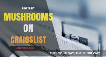 Safely Sourcing Mushrooms on Craigslist: A Buyer's Guide