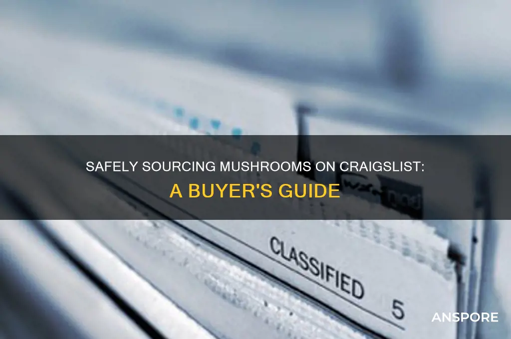 how to buy mushrooms on craigslist